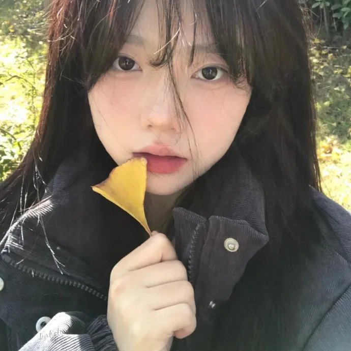 蛇发女妖